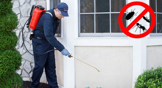 Keçiören Bit İlaçlama böcek ilaçlama ve haşere kontrolü — ilaclama-tr.com